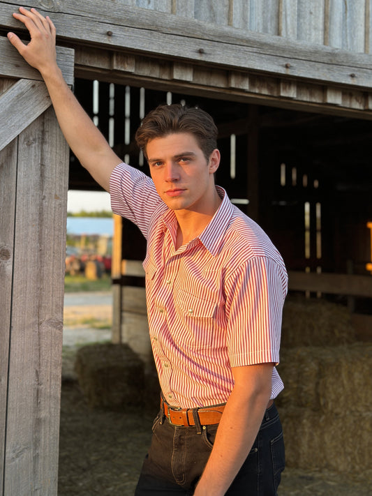 Clearance - Pencil Stripe - Red/White - Short Sleeve - Classic Fit
